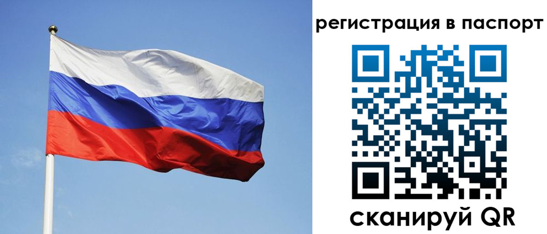 временная регистрация поиск в Смоленске